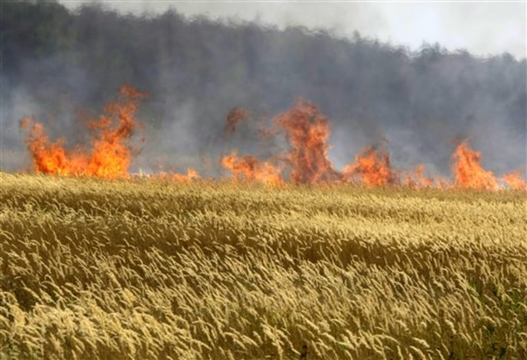 A field of unidentified cereals burning near the town of Voronezh some 294 miles south of Moscow, after after weeks of searing heat and practically no rain. A severe drought has destroyed one-fifth of the wheat crop in Russia.